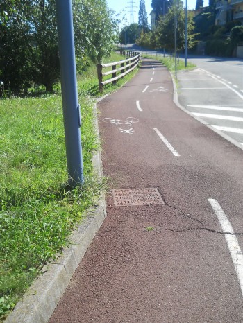 Pista ciclabile affiancata a strada veicolore