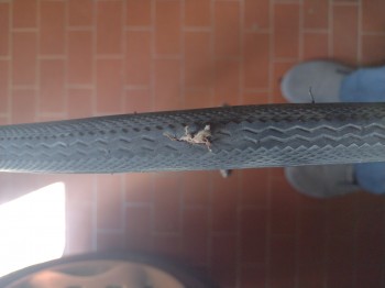 Copertone bicicletta deformato e scoppiato, deformed bicycle tire burst