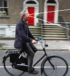 cyclist posture Holland bike - Postura eretta del ciclista su bici Olanda