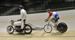 stayer on the track