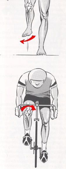 Immagine che mostra che pedalare con i pedi bloccati determina un movimento innaturale degli organi deputati alla rotazione della gamba