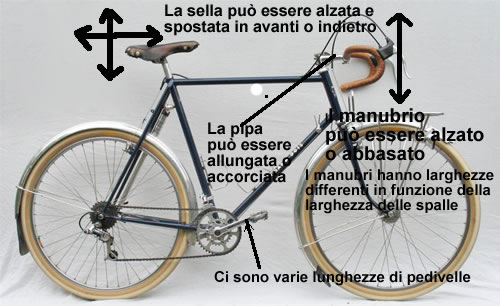 Elementi della Bicicletta che possono essere regolati per adattarli alla corporatura del Ciclista